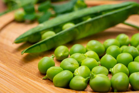 New harvest of fresh ripe green peas legumesの写真素材