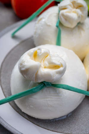 Cheese collection, fresh soft Italian cheese from Puglia, white balls of burrata or burratina cheese made from mozzarella and cream filling close upの写真素材
