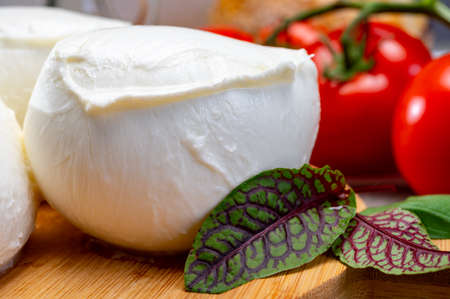 Fresh handmade soft Italian cheese from Campania, white balls of buffalo mozzarella cheese made from...