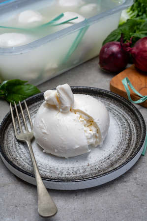 Eating of fresh handmade soft Italian cheese from Puglia, white balls of burrata or burratina cheese...