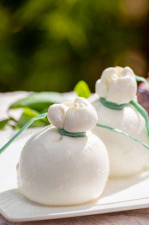 Fresh italian white soft cheese burrata or burratina served on outdoor terrace in sunny dayの写真素材