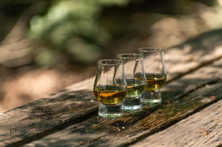 Tasting of different Scotch whiskies on outdoor terrace, dram of whiskey close upの写真素材