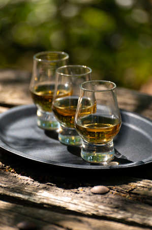 Tasting of different Scotch whiskies on outdoor terrace, dram of whiskey close upの写真素材
