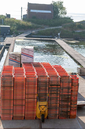 Zeeuwse village Yerseke with famous oysters wells for cultivation of Flat Belon and Creuse oysters...