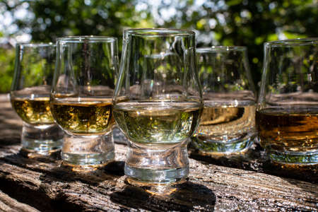 Tasting of different Scotch whiskies on outdoor terrace, dram of whiskey close upの写真素材