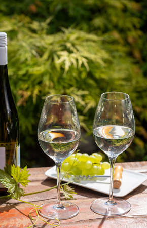 Quality wine tasting on winery in Mosel wine redion in Germany, two glasses and one bottle of riesling white wine served outdoor in garden in sunny dayの写真素材