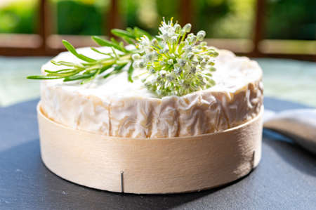 French cheeses collection, piece of matured camembert cow milk cheese with white mold from Normandyの写真素材