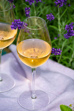 Love Provence, romantic picnic with two glasses of cold French rose wine and purple lavender flowers...