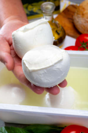 Cheese maker holding in hand fresh soft Italian cheese from Campania, white balls of buffalo mozzarella cheese made from cow milk in container with water close upの写真素材