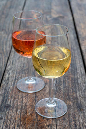 Tasting of Dutch sparkling rose and dry white wine on vineyard in summerの写真素材