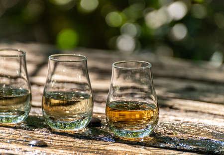 Tasting of different Scotch whiskeys on outdoor terrace, dram of whiskey close up