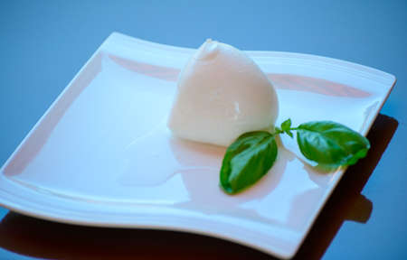 Fresh soft white italian cheese mozzarella buffalo made from Italian buffalo's milk by pasta filata...