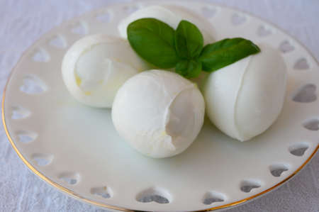 Fresh soft white italian cheese mozzarella buffalo made from Italian buffalo's milk by pasta filata...