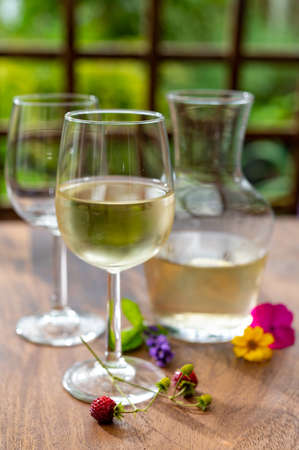 Summer tasting of cold white grape wine on sunny garden terrace with wooden pergolaの写真素材