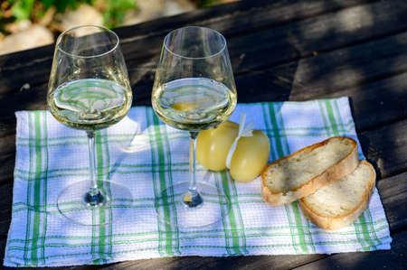 Summer picnic or outdoor lunch with tasting of white wine on green vineyards in Lazio, Italyの写真素材