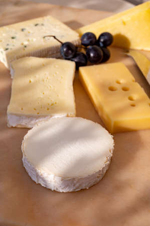 French cheese collection on marble board, emmental, carre de aurillac, petit cantal AOP Jeune, buche...