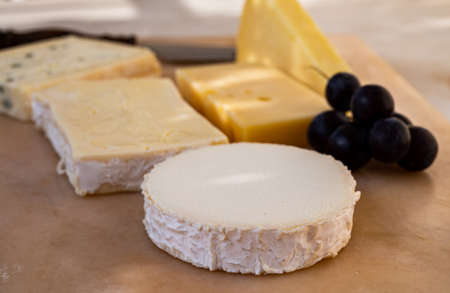 French cheese collection on marble board, emmental, carre de aurillac, petit cantal AOP Jeune, buche...