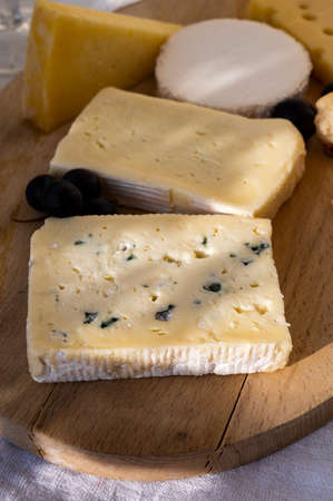 French cheese collection on marble board, emmental, carre de aurillac, petit cantal AOP Jeune, buche...