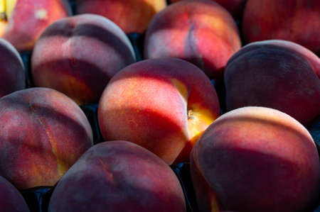 New harvest of big sweet ripe nectarines peaches in Provence, France