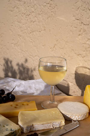 Tasting and pairing of cold white wine with different french cheeses in sunny Provence, France