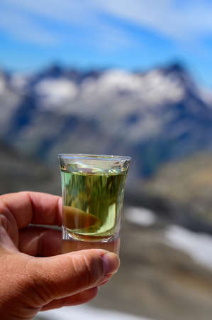 Tasting of very sweet french green strong liqueur based on many herbs, plants and flowers from Chartreuse abbey in Alpine mountains in sunny dayの写真素材