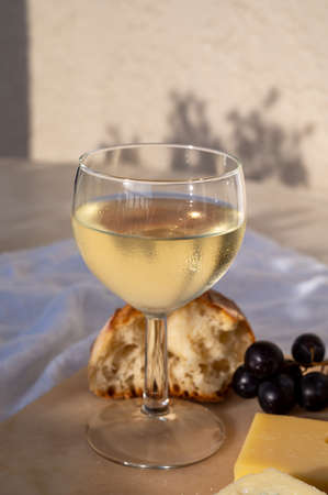Tasting and pairing of cold white wine with different french cheeses in sunny Provence, France