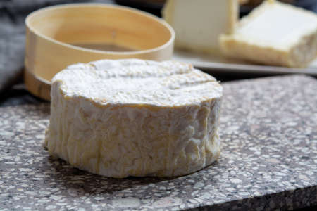 Cheese collection, French soft Camembert or Normandy cheese made from cow milk in region Normandy,...