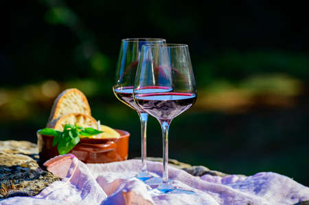 Summer picnic or outdoor lunch with tasting of red wine on vineyards in Lazio, Italyの写真素材