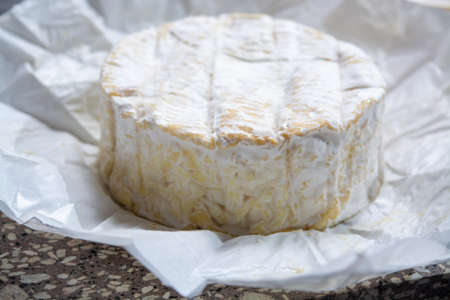 Cheese collection, French soft Camembert or Normandy cheese made from cow milk in region Normandy,...