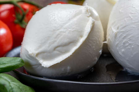 Fresh handmade soft Italian cheese from Campania, white balls of buffalo mozzarella cheese made from...