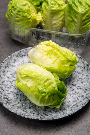 Green heads of fresh italian baby cos romaine lettuce close upの写真素材