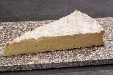 Cheese collection, French brie de Meaux cheese from Seine-et-Marne region with white mold close up