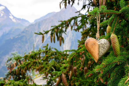 Green Christmas tree with cones growing in French Alps mountains decorated with hanging wooden heart...