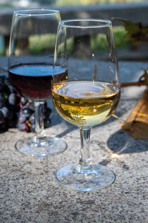Outdoor tasting of different fortified vintage port wines in glasses in sunny autumn, Douro Valley, Portugal, close upの写真素材