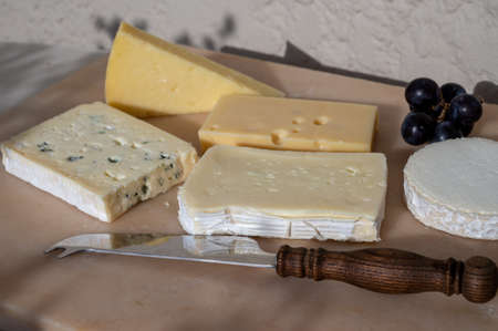 French cheese collection on marble board, emmental, carre de aurillac, petit cantal AOP Jeune, buche...