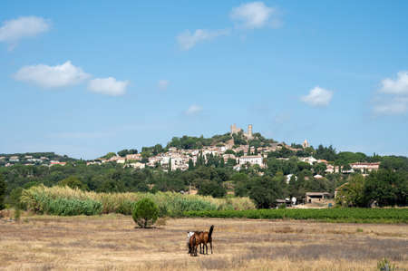Summer landscape  view on ancient perched mediterranean village Grimaud  ruin of old castle near...