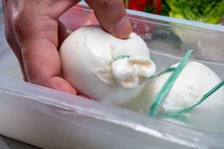 Cheese maker holds in hand fresh soft Italian cheese from Puglia, white balls of burrata or...