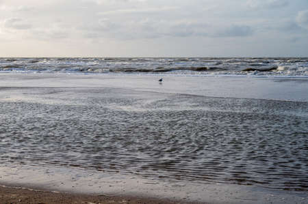 North sea waves in winter near Zandvoort in Netherlandsの写真素材