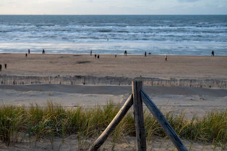 Green grass protects sandy dunes from wind on wide windy beach of North sea near Zandvoort in Netherlands in winterの写真素材