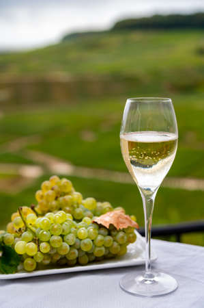 Tasting of french sparkling white wine with bubbles champagne on outdoor terrace with view on green...