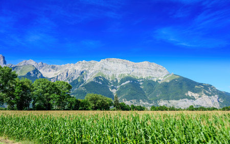 Panoramic view on Breche de Faraut mountain range in French Prealps and green fields in summer