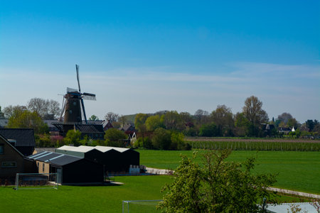 Small Dutch village and fruit orchards with spring blossom along dam in Betuwe, Netherlands in sunny dayの写真素材