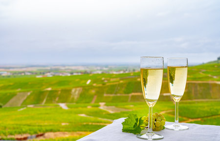 Tasting of french sparkling white wine with bubbles champagne on outdoor terrace with view on green grand cru Champagne vineyards in Cramant, near Epernay, Franceの写真素材