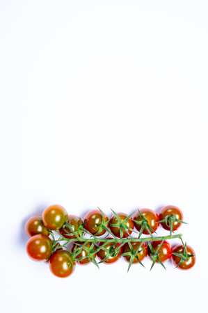 Vine of fresh ripe sweet cherry tomatoes ready to eat on white background isolatedの写真素材