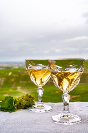 Tasting of french sparkling white wine with bubbles champagne on outdoor terrace with view on green grand cru Champagne vineyards in Cramant, near Epernay, Franceの写真素材