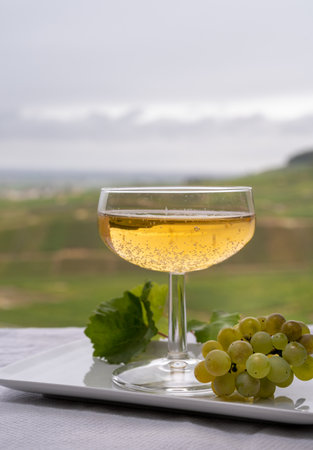Tasting of french sparkling white wine with bubbles champagne on outdoor terrace with view on green grand cru Champagne vineyards in Cramant, near Epernay, Franceの写真素材