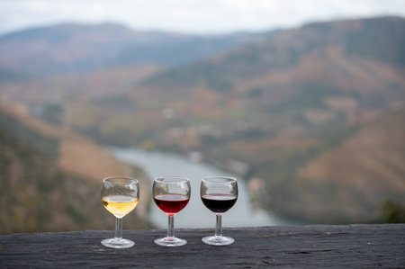 Tasting of Portuguese fortified dessert and dry port wine, produced in Douro Valley with Douro river and colorful terraced vineyards on background in autumn, Portugalの写真素材