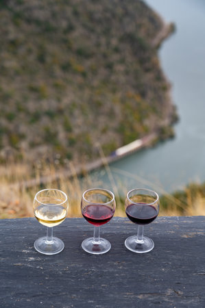 Tasting of Portuguese fortified dessert and dry port wine, produced in Douro Valley with Douro river and colorful terraced vineyards on background in autumn, Portugalの写真素材