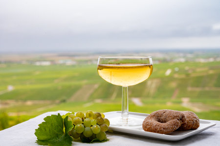 Tasting of french sparkling white wine with bubbles champagne on outdoor terrace with view on green...