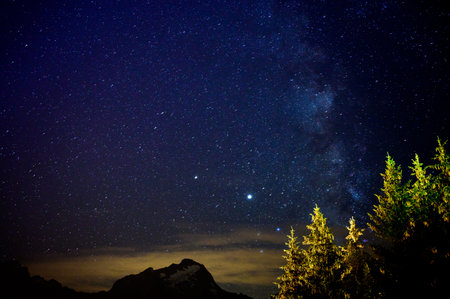 Evergreen fir trees with cones, peaks of French Alps mountains and starry sky at night on background